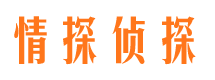 万荣侦探公司